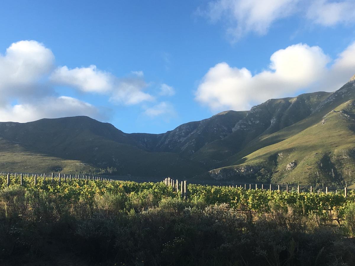 Vila Misty Mountains Hermanus Exteriér fotografie