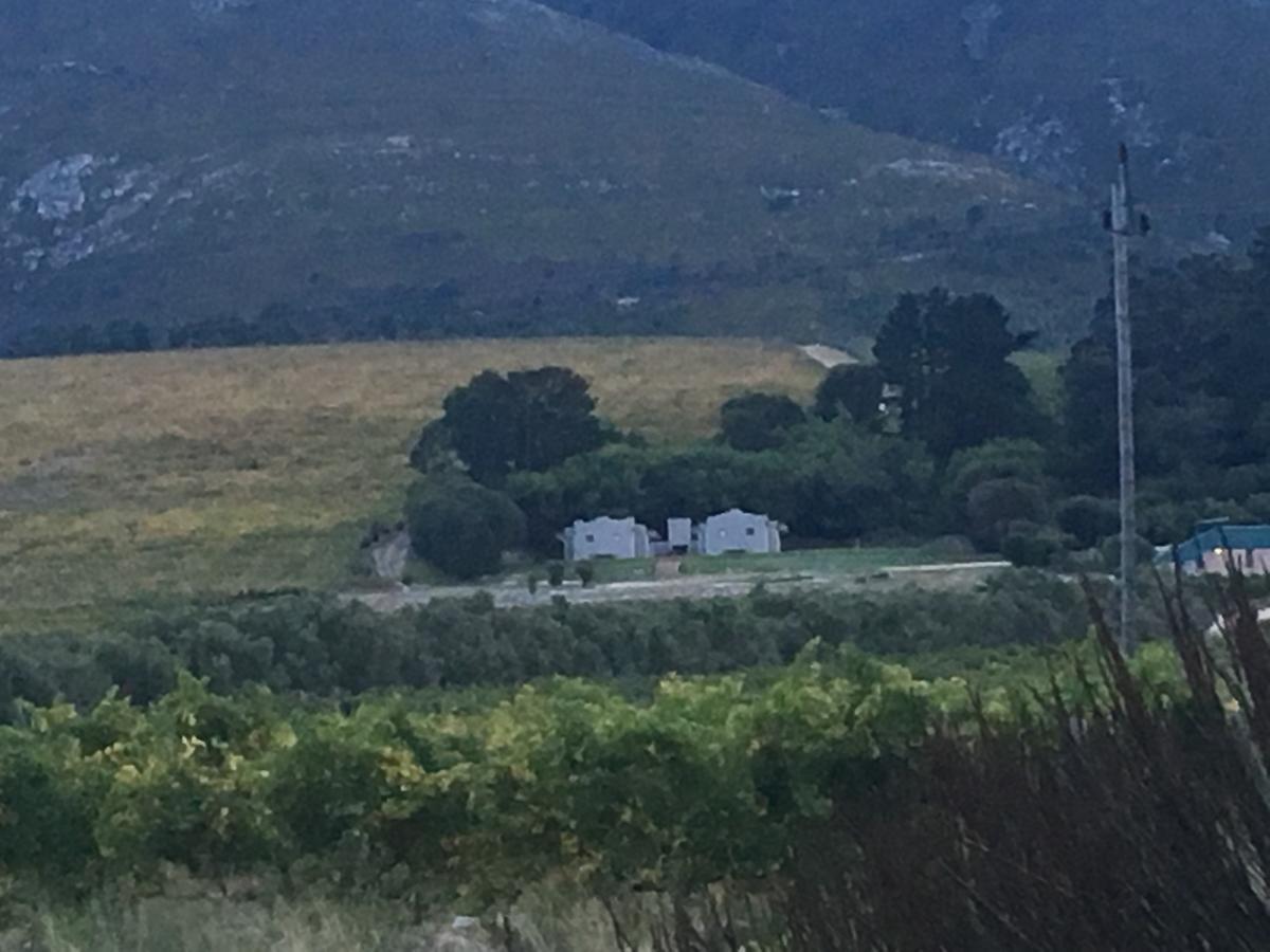 Vila Misty Mountains Hermanus Exteriér fotografie