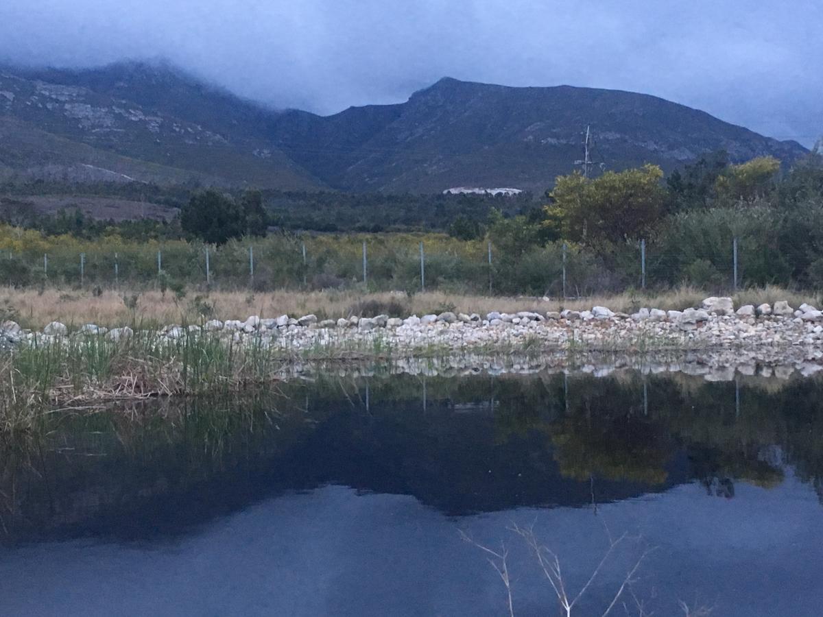 Vila Misty Mountains Hermanus Exteriér fotografie